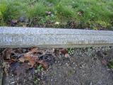 image of grave number 364246